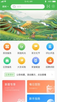 云赏信阳毛尖1