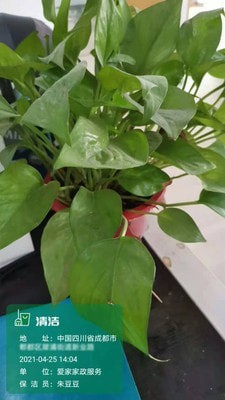 经纬位置打卡相机3