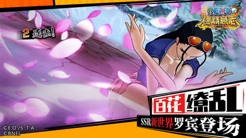 航海王燃烧意志2