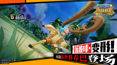 航海王燃烧意志