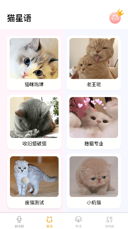 猫语翻译大师0