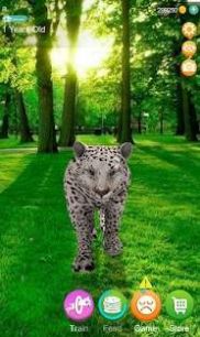 会说话的猎豹2