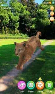 会说话的猎豹3