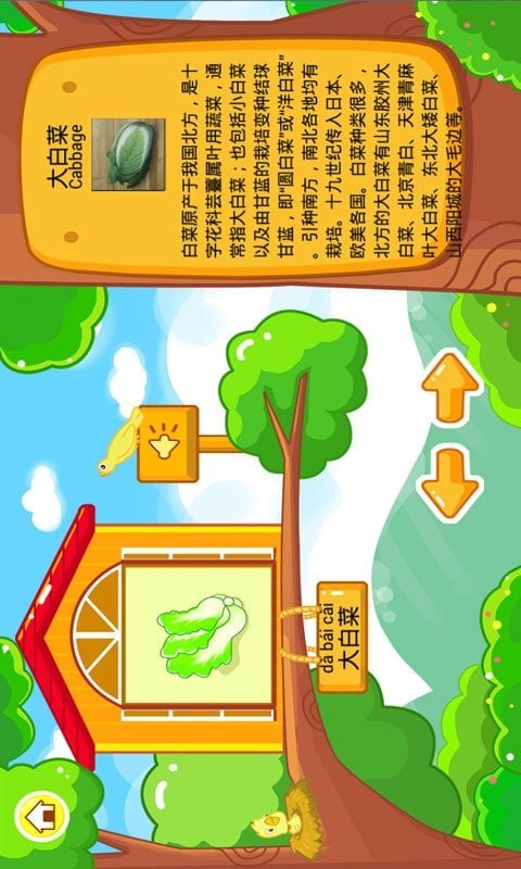 儿童学习认蔬菜2