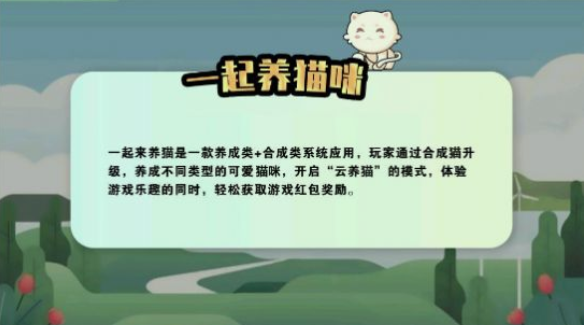 一起养猫咪3