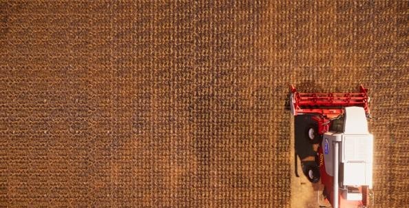 真正的农场牧场1