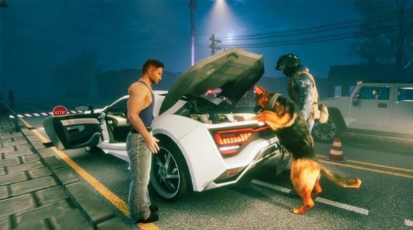 模拟边境警察官4