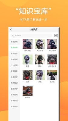 狗狗Bing商城4
