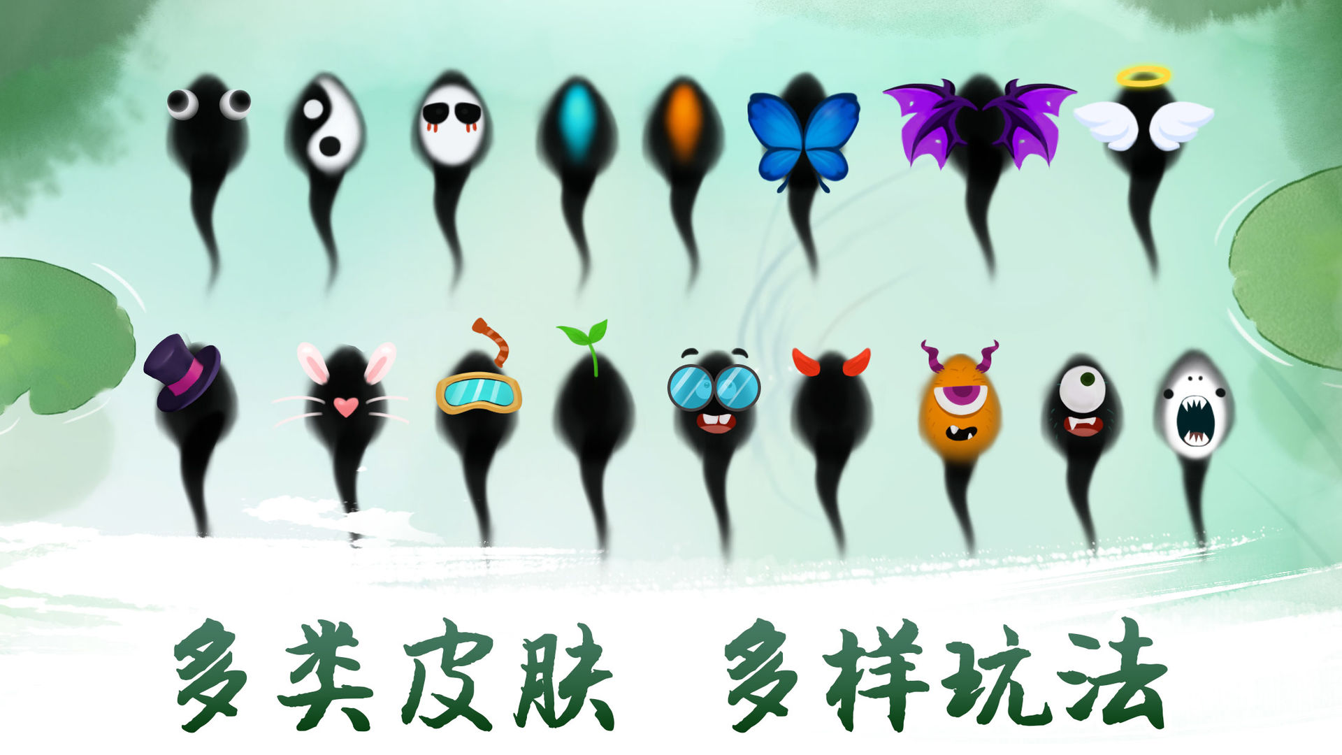 墨虾探蝌鲨鱼