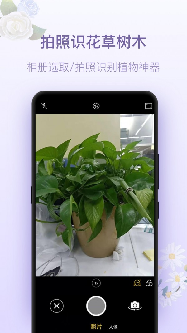 拍照识花神器1
