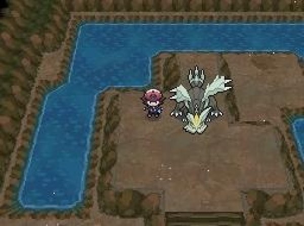 口袋妖怪黑白2中文版2