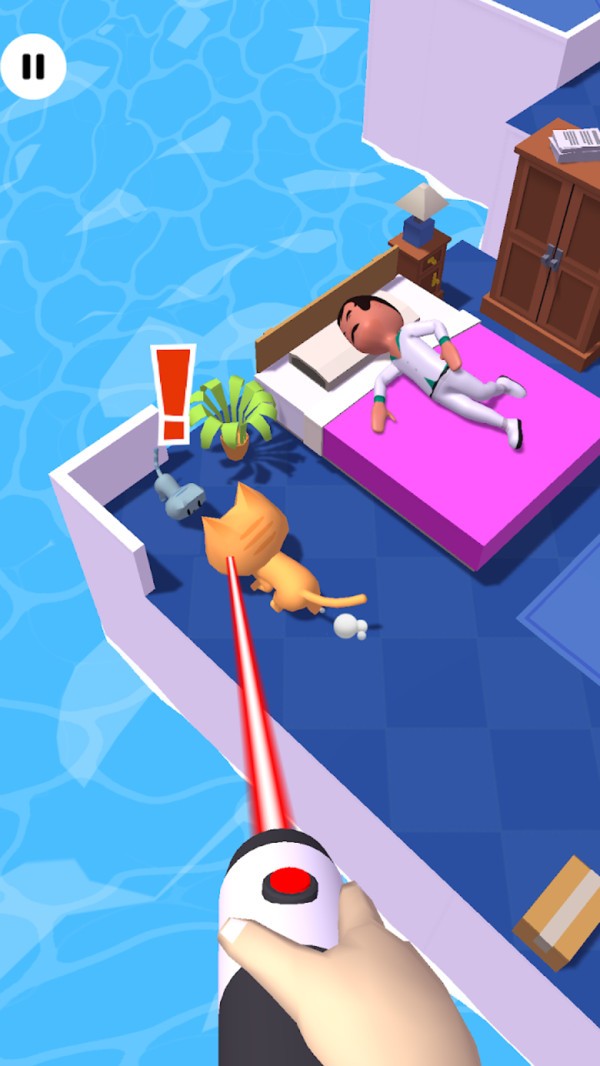 寻找我的小猫4