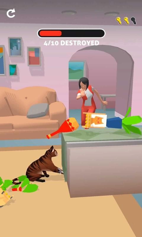 猫咪加比2