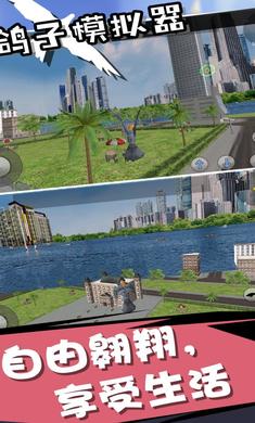 鸽子模拟器3中文版 鸽子模拟器3中文版