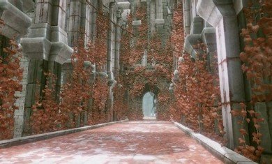 尼尔康乃馨日服1