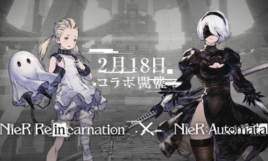 尼尔康乃馨日服2