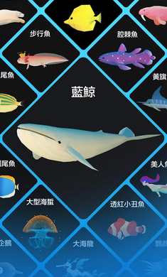深海水族馆五周年1