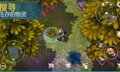 生死存亡0.2.4501