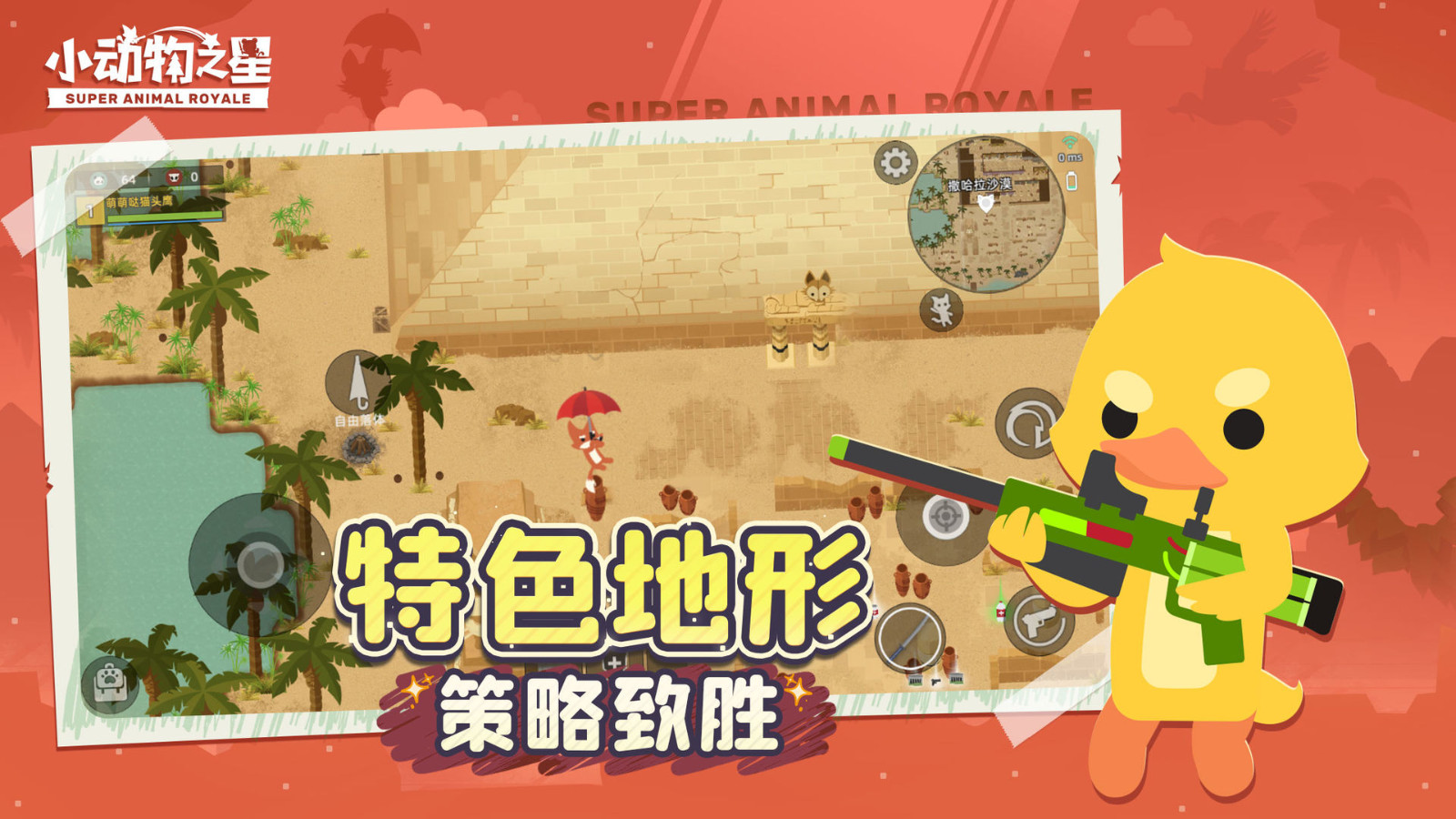 小动物之星粽夏夜之梦1