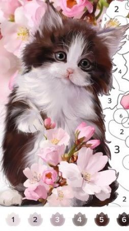 梦幻涂色书3