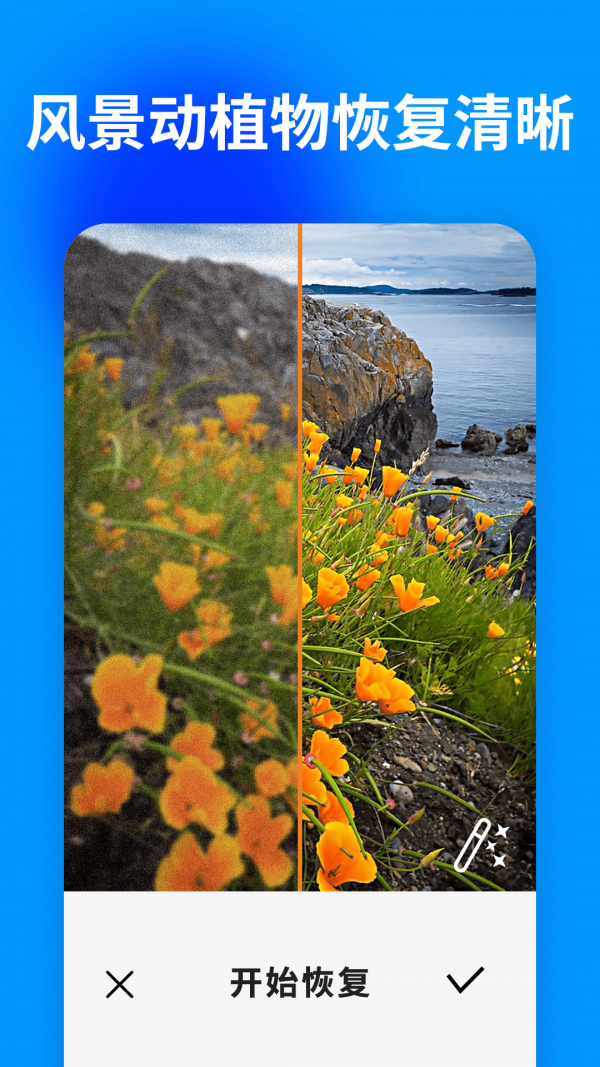 大白照片恢复助手4