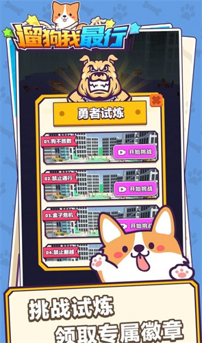 遛狗我最行4