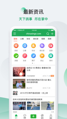 中国信鸽信息网0