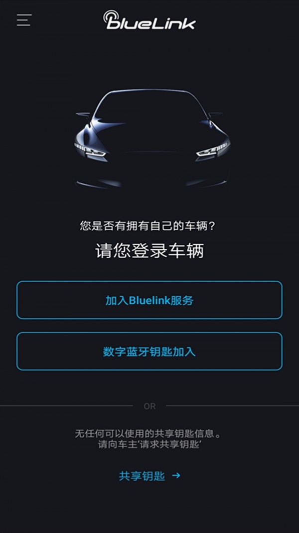 现代bluelink1