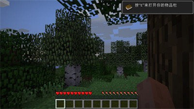 我的世界1.17.10.233
