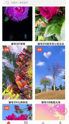 左拍2