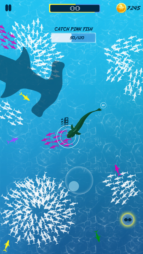 饥饿的鱼喂养和成长1