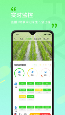 风清养1