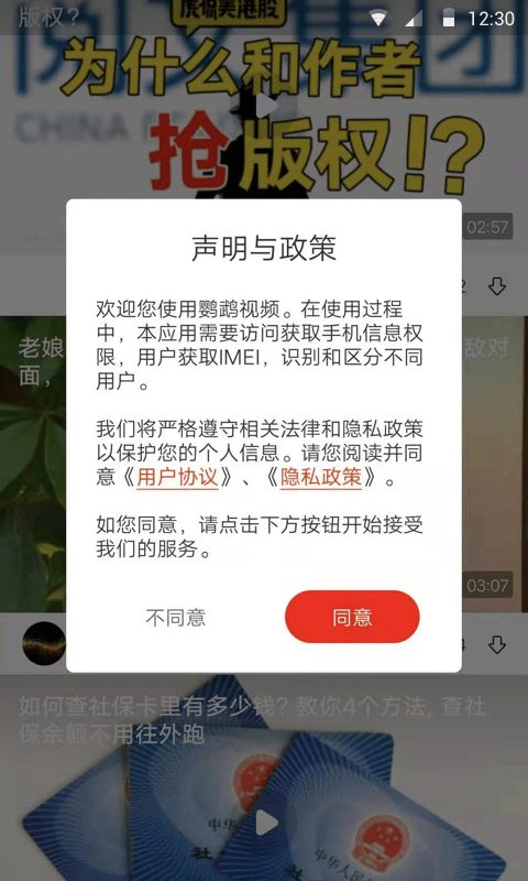 鹦鹉视频2