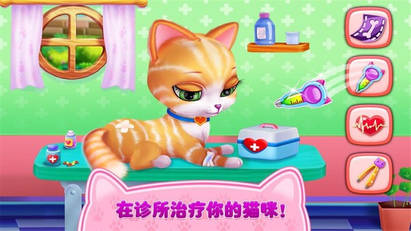 猫咪之恋完整版2