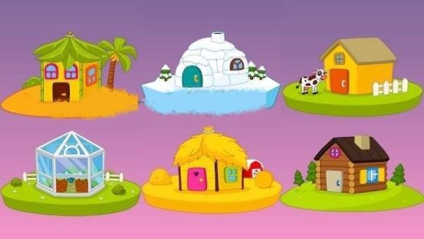 动物小屋建设1