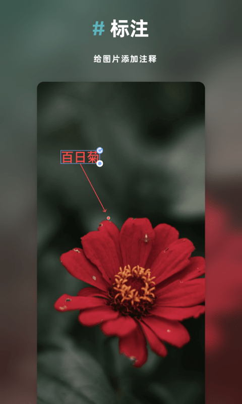 Annotable图片处理1