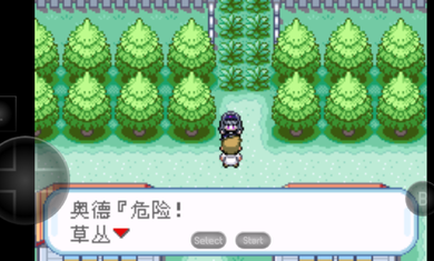 口袋妖怪mega萌娘火红版