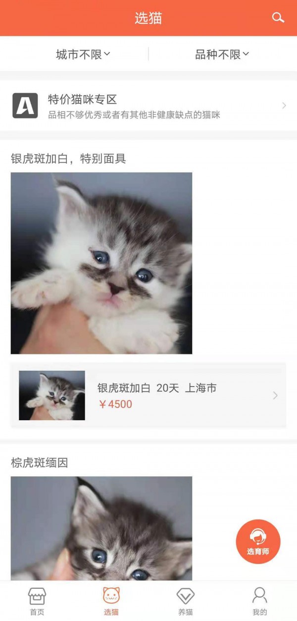 家连猫舍0