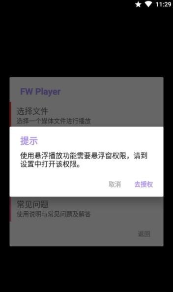 FW播放器1