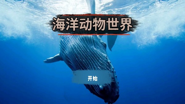 海洋动物世界2