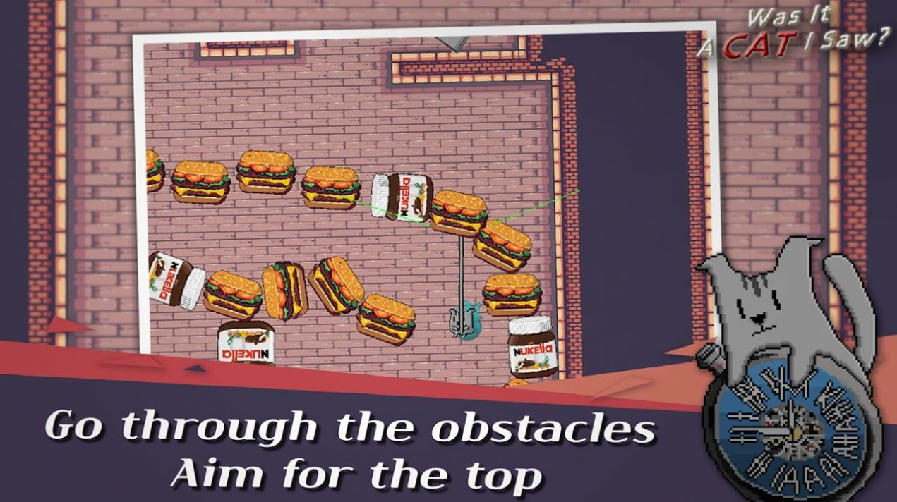 我看到的是一只猫1