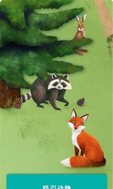 大自然谜题4