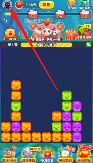 猪猪爱消消24