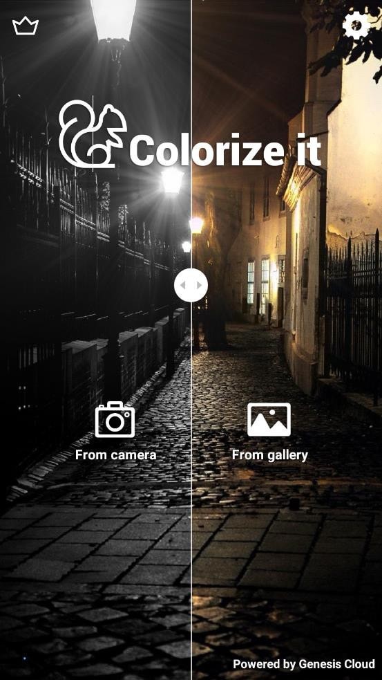 Colorize It2