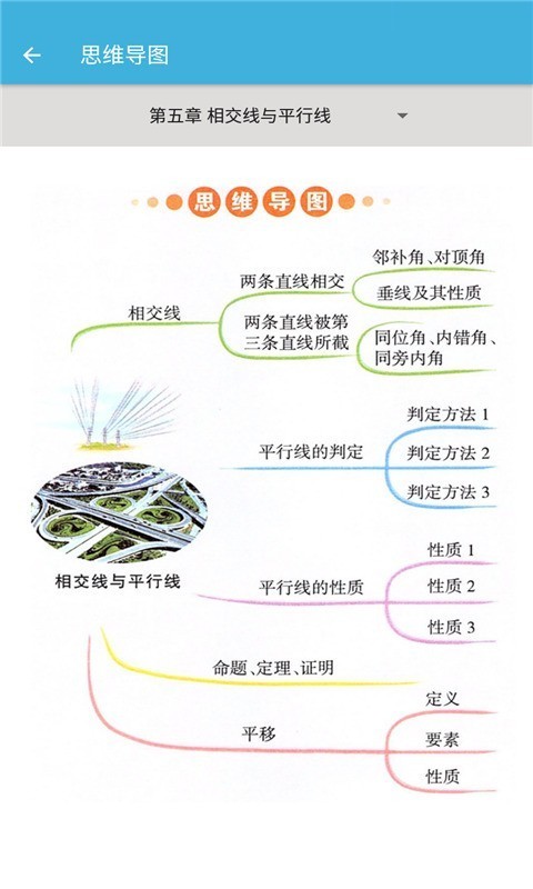 七年级下册数学辅导1