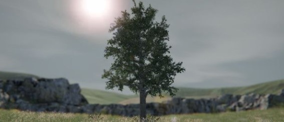 树木模拟器3