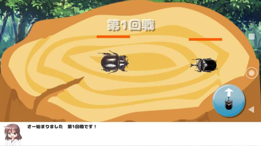 我和甲虫的暑假1