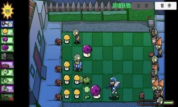 植物大战僵尸TAT版2