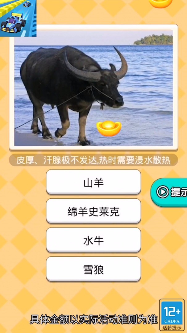 飞飞小车手3