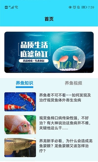 我爱养鱼 我爱养鱼